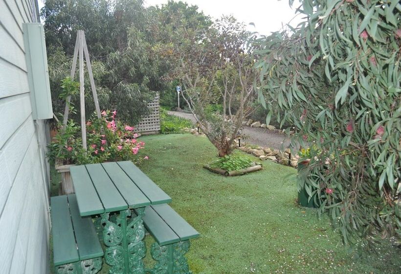 The Fig Tree B&b