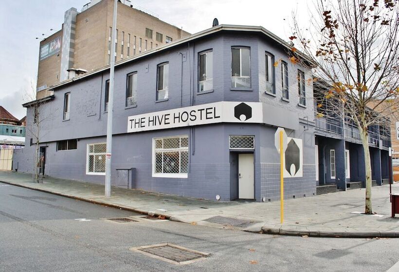 The Hive Hostel   Traveler Friendly, Passport Only