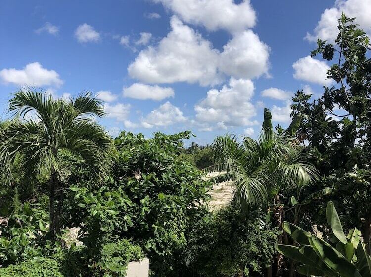 Sol Caribe Pc   Ducassi Rooftop Pool