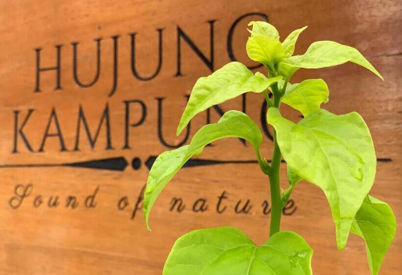 هتل Hujung Kampung
