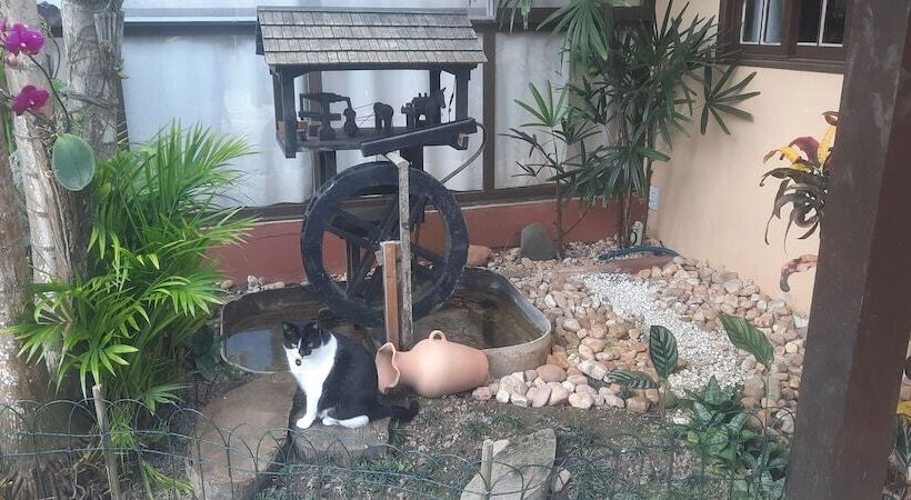 فندق Pousada Do Atobá
