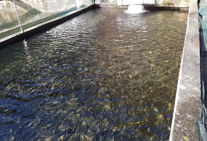 فندق ريفى Agriturismo La Vecchia Chioderia