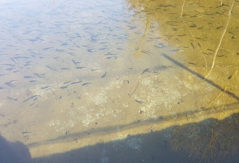 فندق ريفى Agriturismo La Vecchia Chioderia