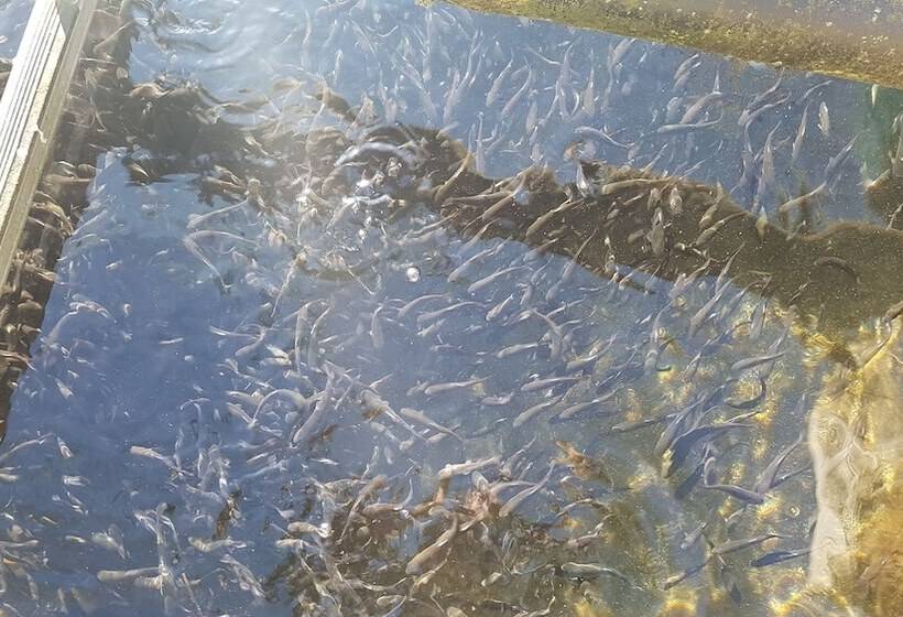 فندق ريفى Agriturismo La Vecchia Chioderia