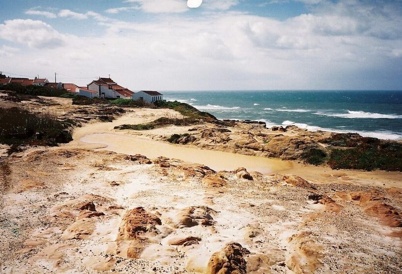 João Jungle