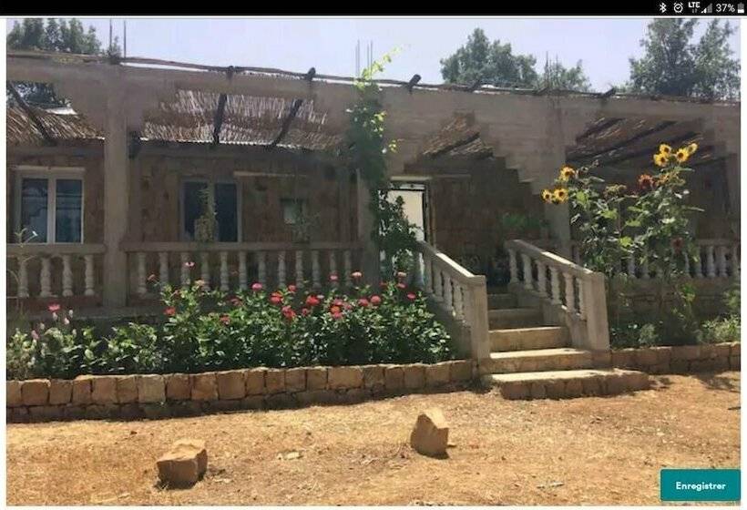 پانسیون Abou Hachem