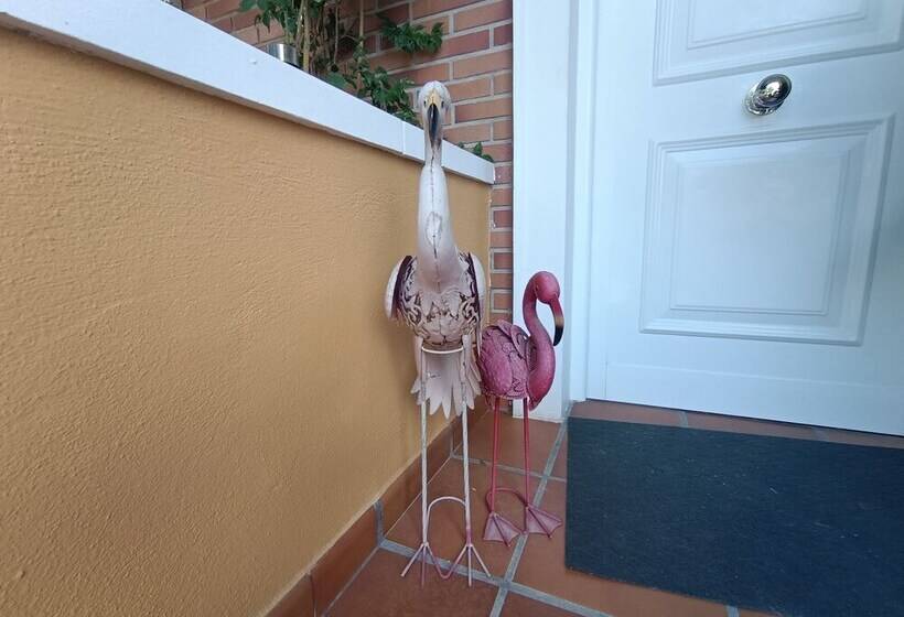 پانسیون Acogedora Y Familiar Casa En L Olleria