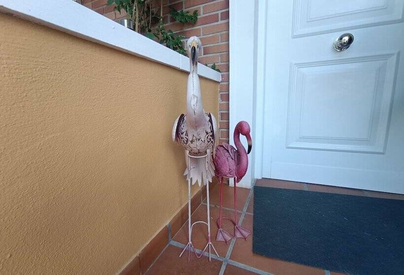 پانسیون Acogedora Y Familiar Casa En L Olleria