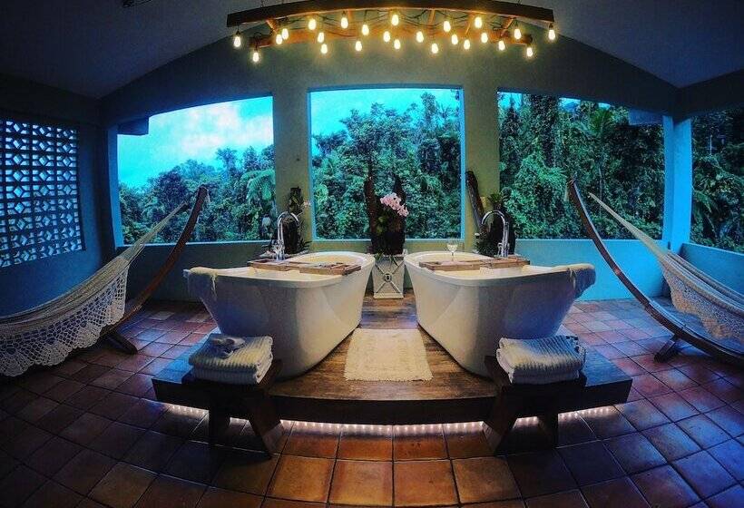 تختخواب و صبحانه Rainforest Inn