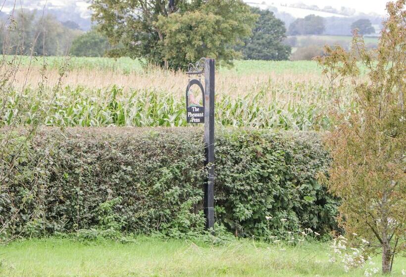 The Pheasant One