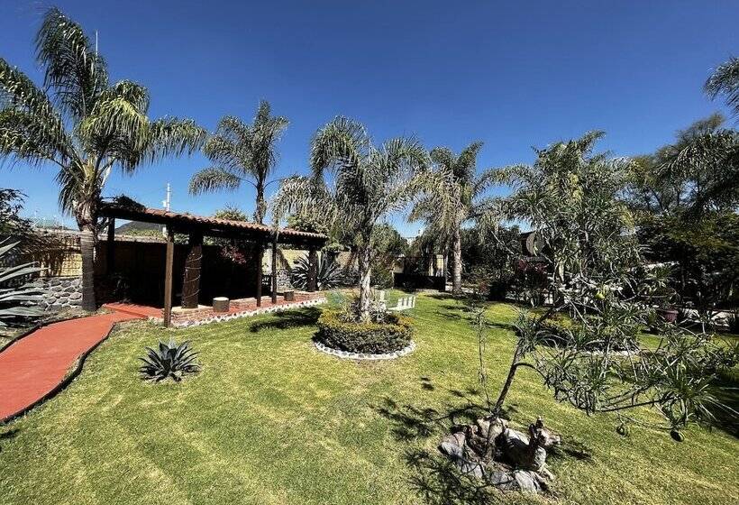 هتل Boutique Paraje San De San Agustín