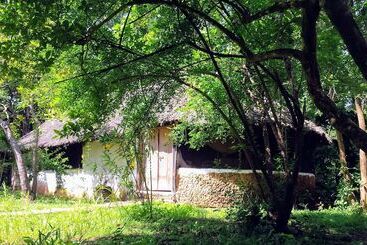 هتل Mikoko Cove Ecolodge