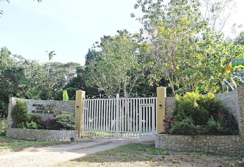 酒店 Submarine Garden Beach Resort