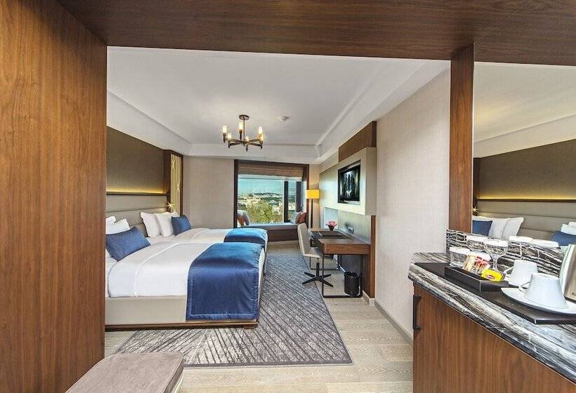 Fotos del hotel Arts Hotel Istanbul - Special Class:  7