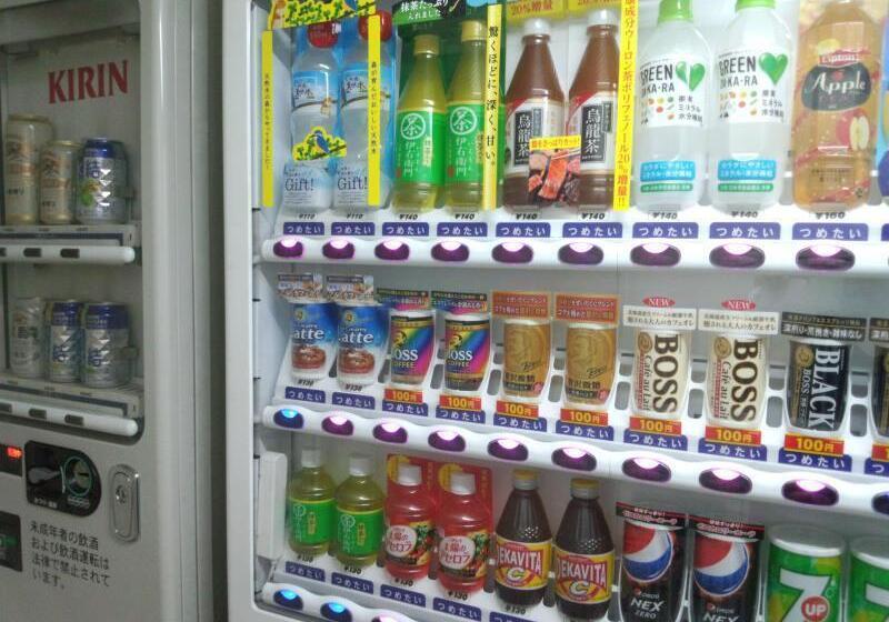 Fotos del hotel Green Rich  Kagoshima Tenmonkan:  8