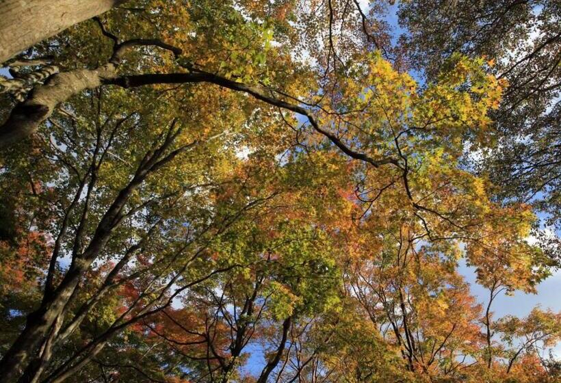 Fotos del hotel Manatei Hakone:  23