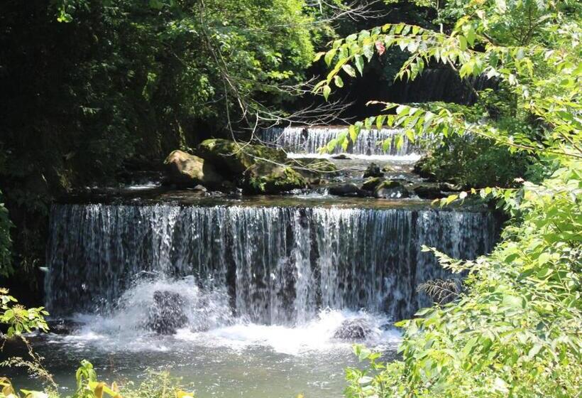 Fotos del hotel Manatei Hakone:  30