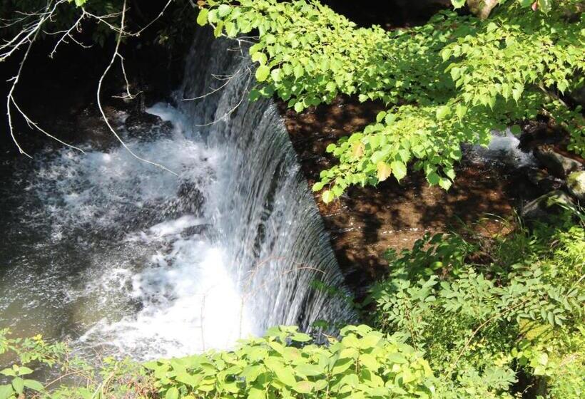 Fotos del hotel Manatei Hakone:  40