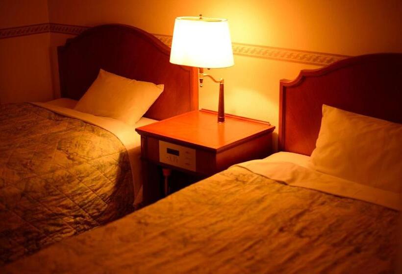 Fotos del hotel Bel Air Sendai:  7