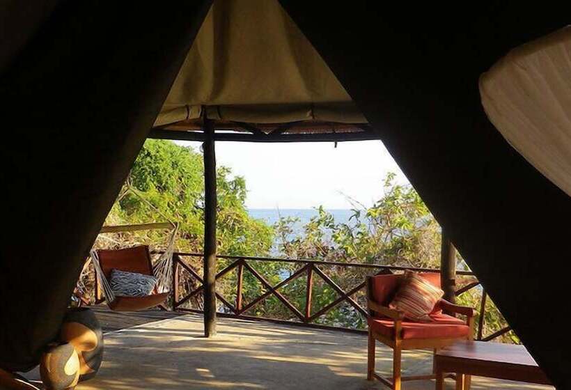 هتل Blue Zebra Island Lodge