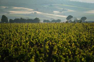 هتل Castilla Termal Monasterio De Valbuena