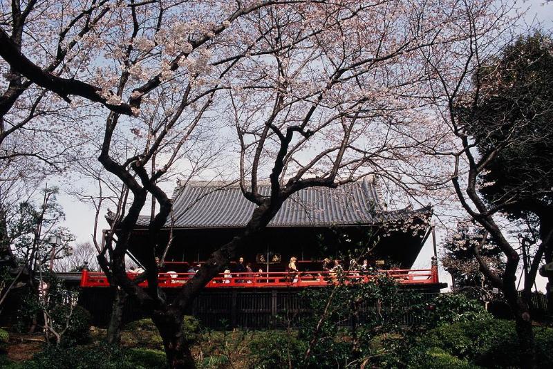 Fotos del hotel Dormy Inn Ueno Okachimachi:  9