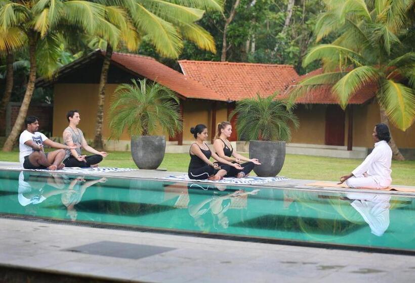 هتل Villa Velmarie Yoga And Ayurveda House All Inclusive