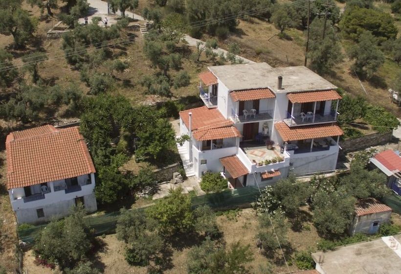 Camelia Studios