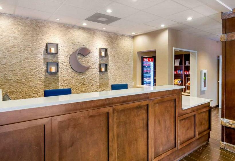 酒店 Comfort Inn & Suites Lynchburg Airport University Area