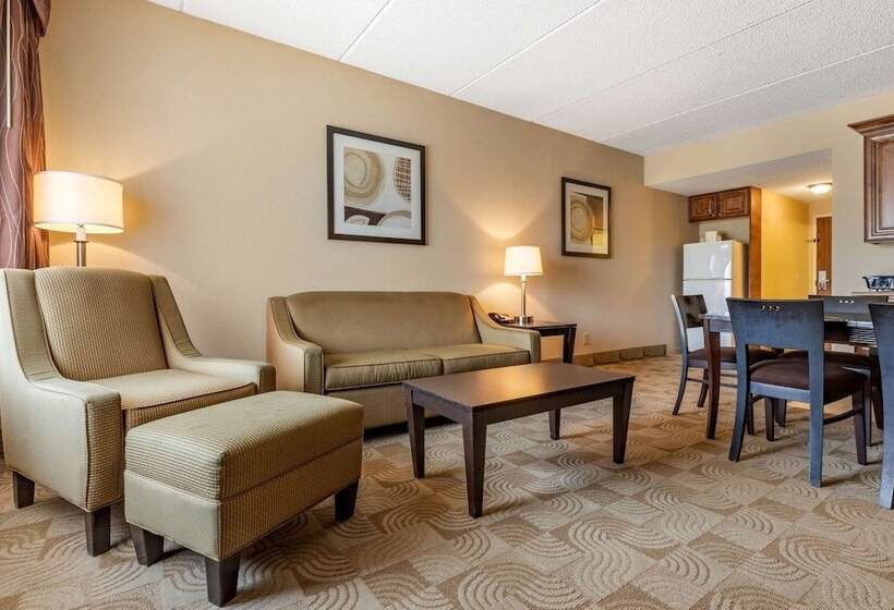 هتل Comfort Inn Warner Robins  Robins Air Force Base Area