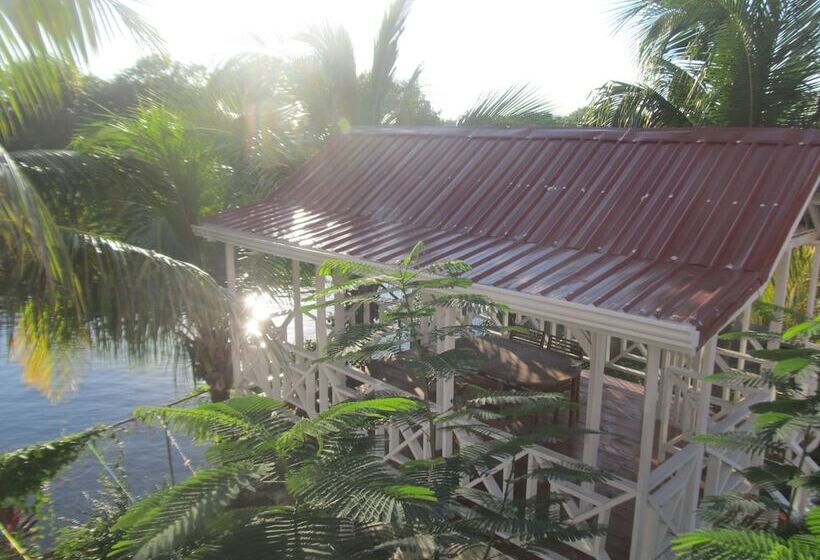 هتل Easy Inn
