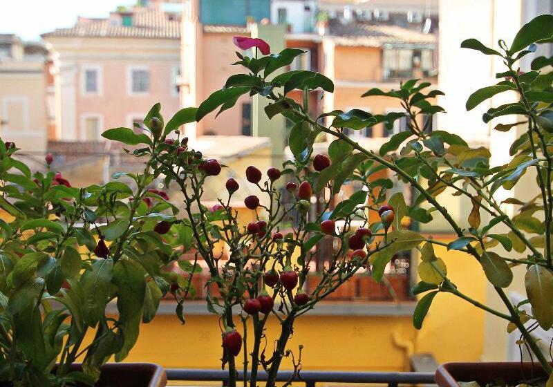 Fotos del hotel Irooms Jacuzzi Suites:  34