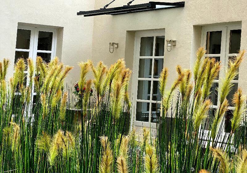 Fotos del hotel La Lanterne:  24