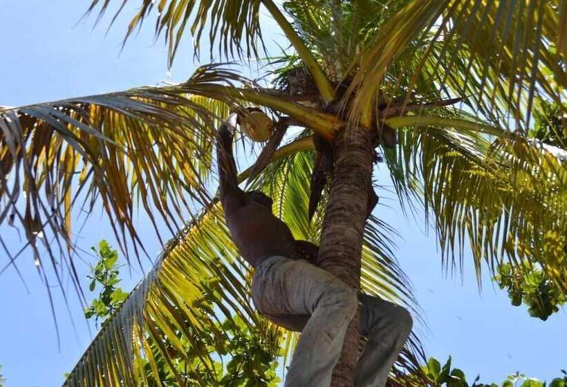 هتل Pacot Breeze