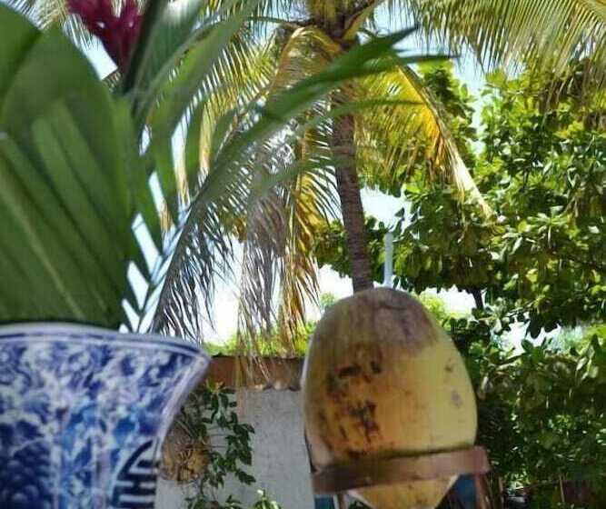 هتل Pacot Breeze
