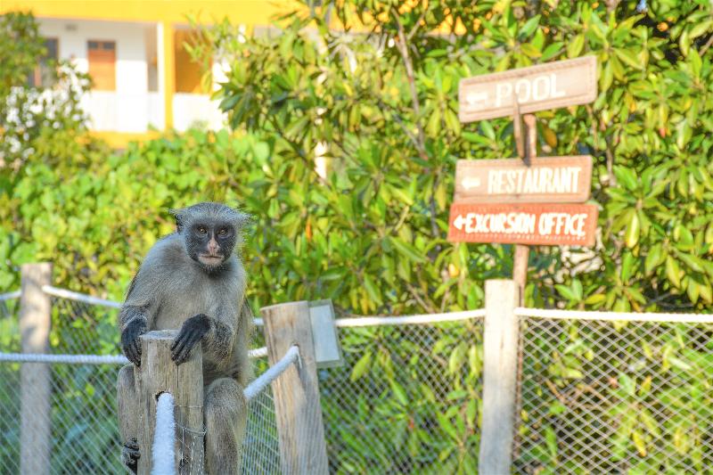 בית מלון כפרי Reef & Beach Resort
