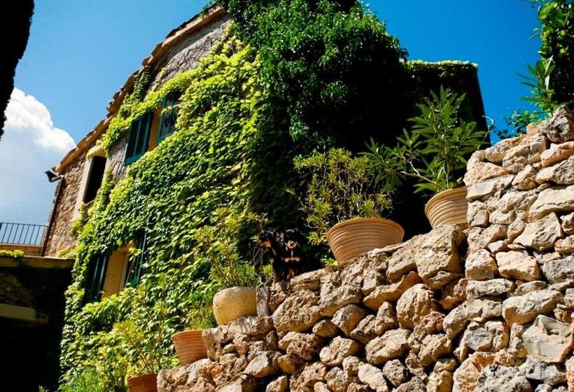 Fotos del hotel Sa Vall:  10
