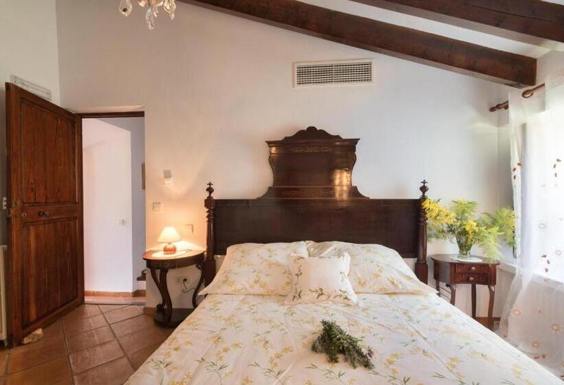 Fotos del hotel Sa Vall:  4