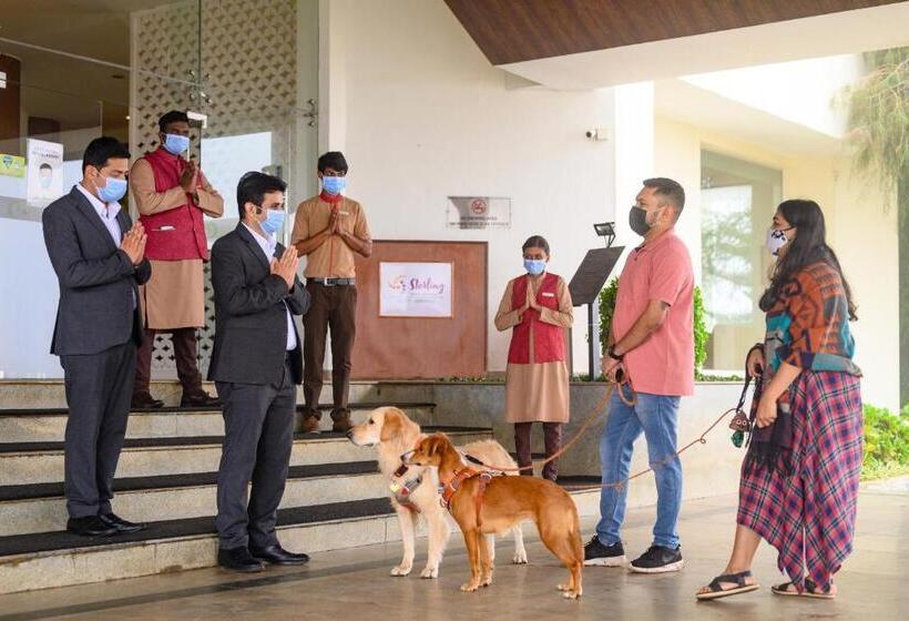 渡假胜地  Sterling Yelagiri