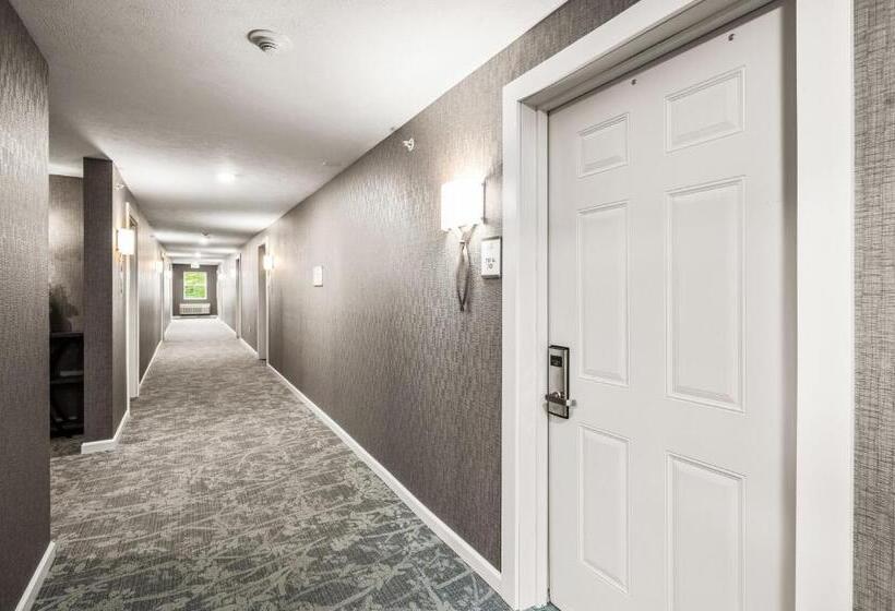 هتل Alexandra Inn