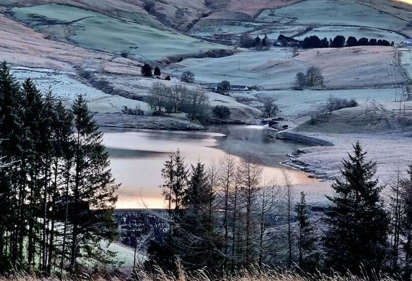 Отель Forester S Retreat Glamping Cambrian Mountains