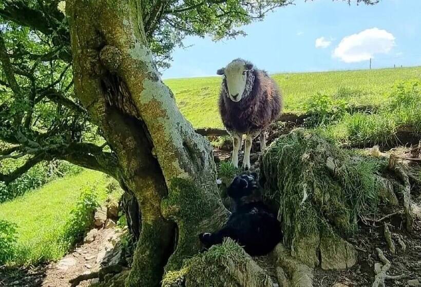 호텔 Forester S Retreat Glamping   Dinas View