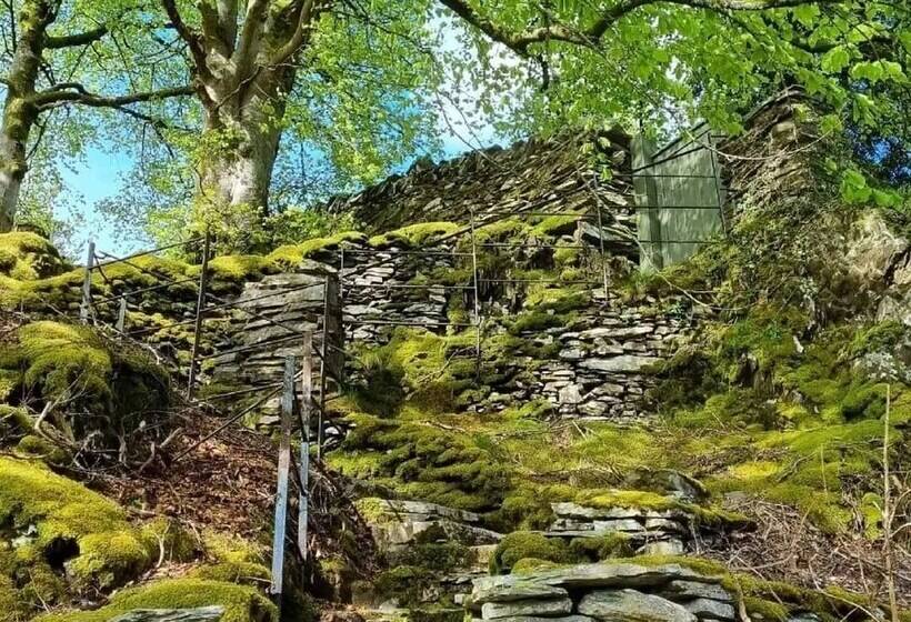 호텔 Forester S Retreat Glamping   Dinas View