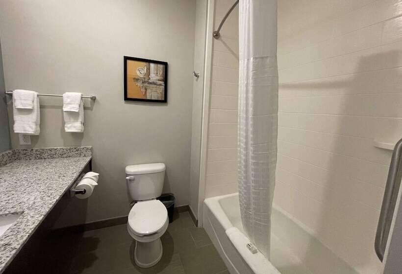 هتل Hawthorn Extended Stay By Wyndham Sulphur Lake Charles