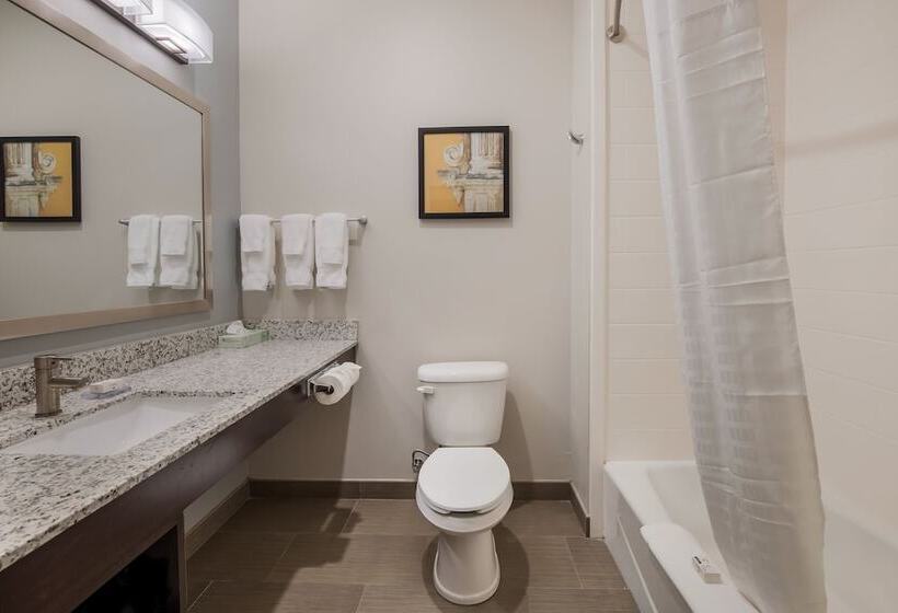 هتل Hawthorn Extended Stay By Wyndham Sulphur Lake Charles