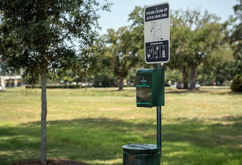 فندق Hilton Garden Inn Pensacola Downtown