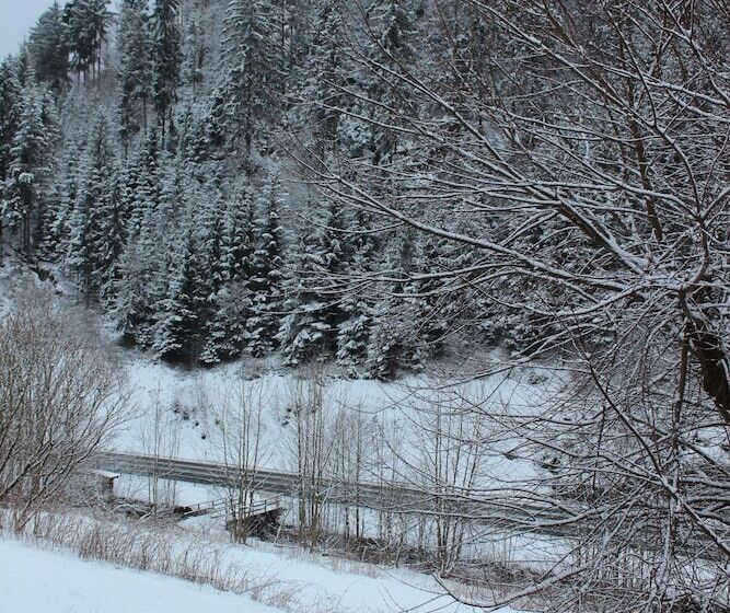 هتل Waldpension Pfeiferhaus