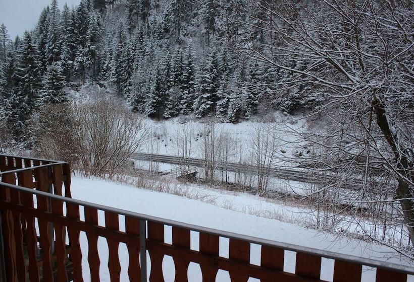 هتل Waldpension Pfeiferhaus