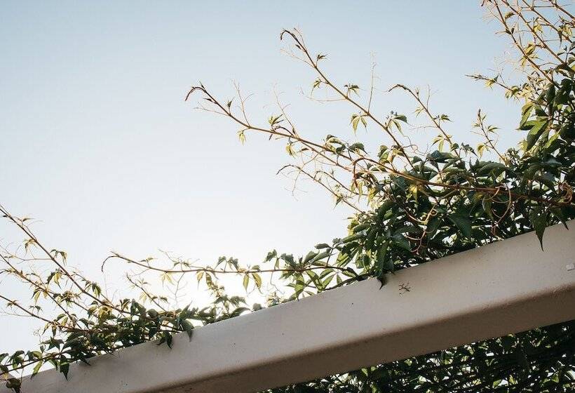 بنسيون Banksia By The Bay