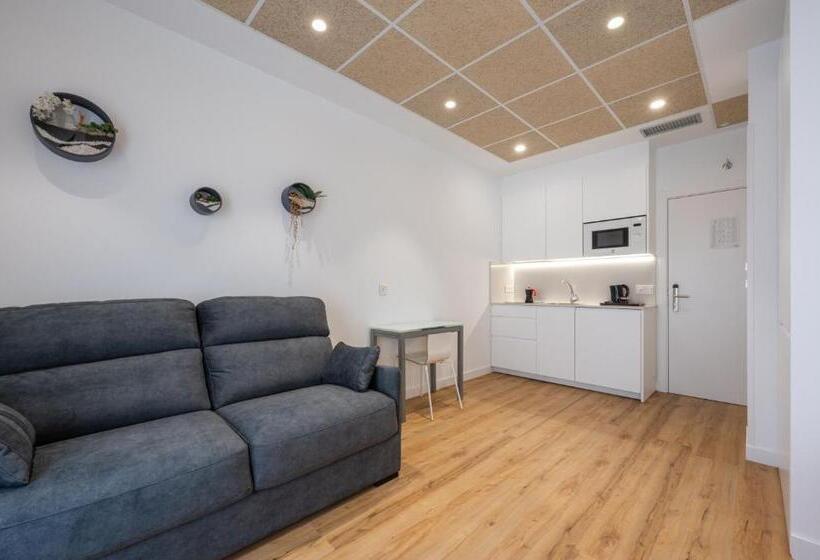 پانسیون Elegant Rooms Lasarte